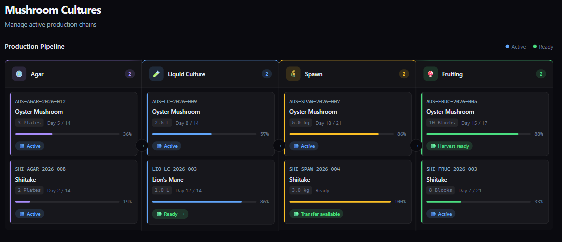 Produktionspipeline von Agar ueber LC und Spawn bis Fruchtung